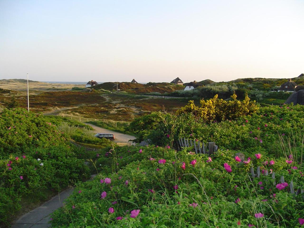 Giebelhaus Frida - Sylt, Вестерланд Экстерьер фото